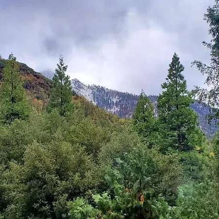 Redwood Retreat, Mountains, Adventure And Nature Ponderosa Exterior foto