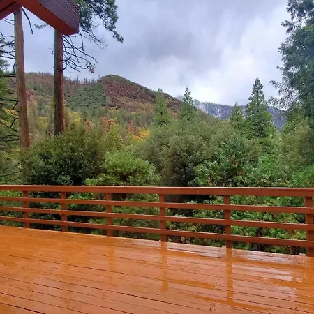 Redwood Retreat, Mountains, Adventure And Nature Ponderosa Exterior foto