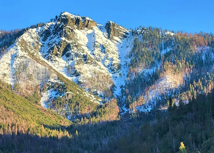 Redwood Retreat, Mountains, Adventure And Nature