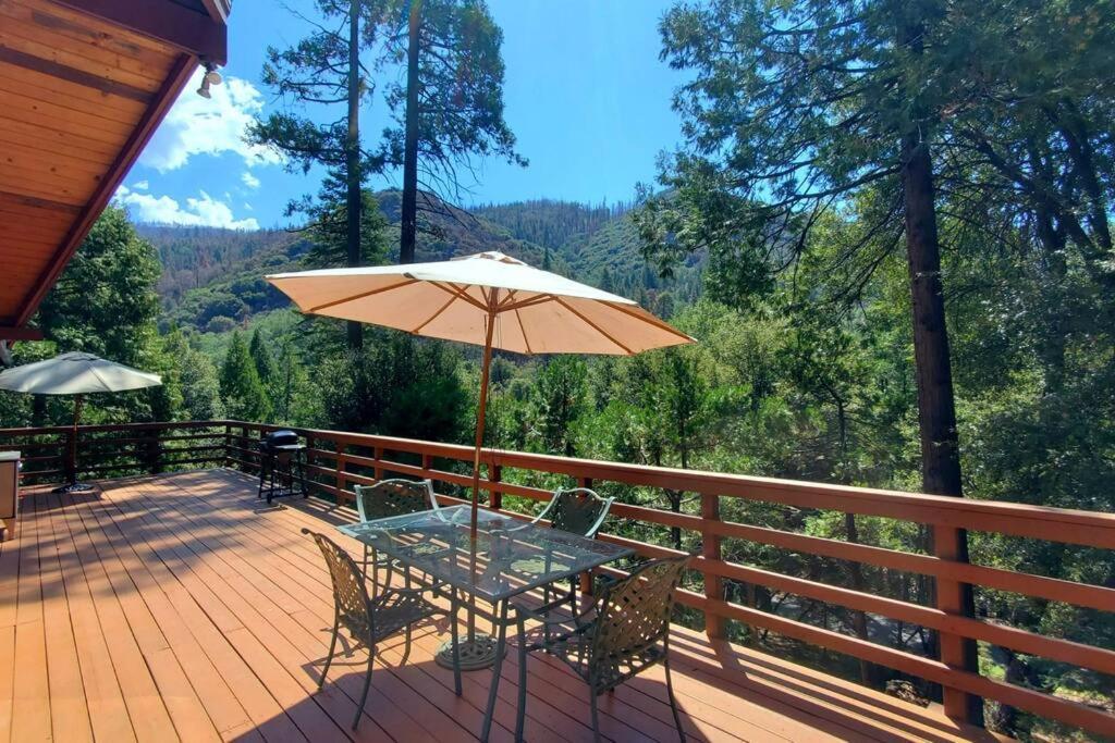 Redwood Retreat, Mountains, Adventure And Nature