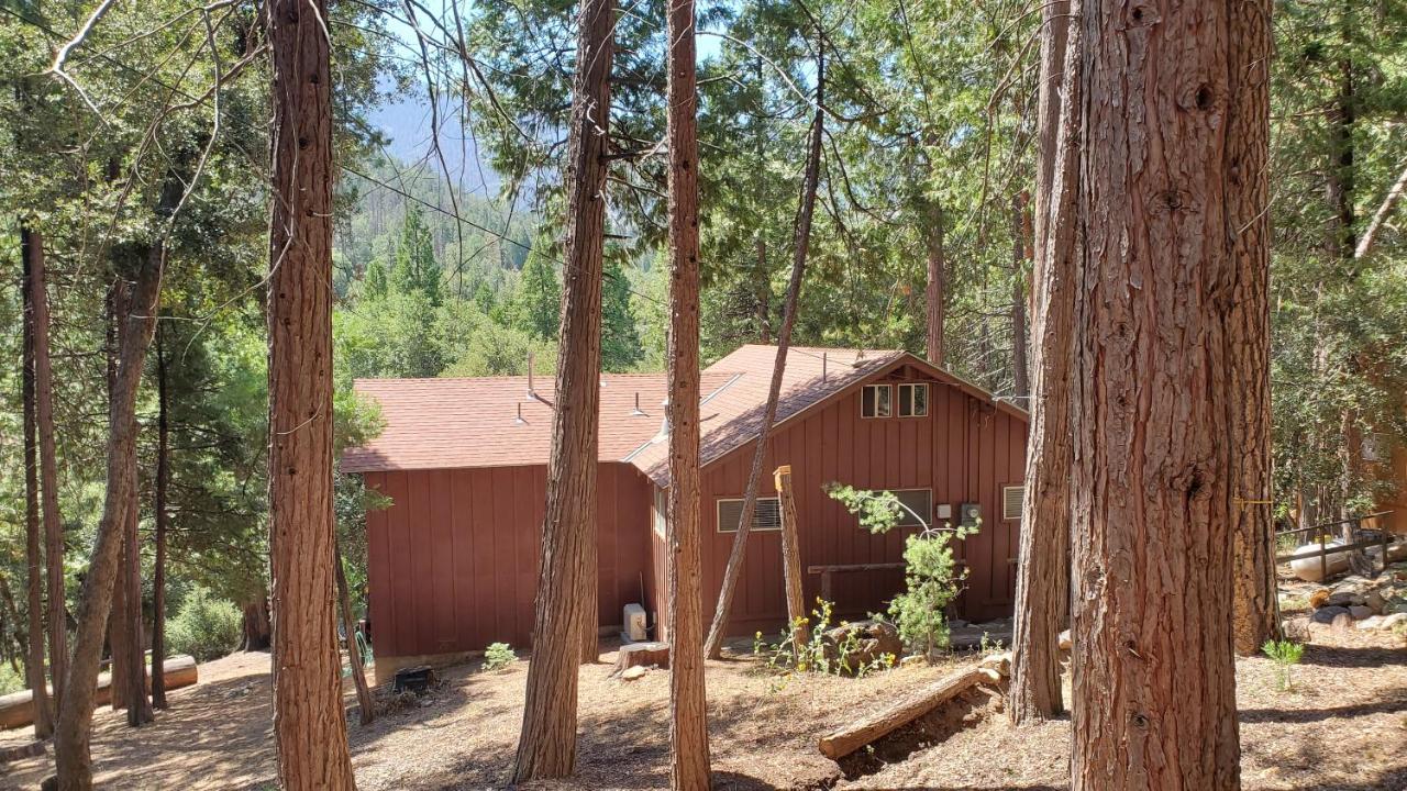 Redwood Retreat, Mountains, Adventure And Nature * Ponderosa