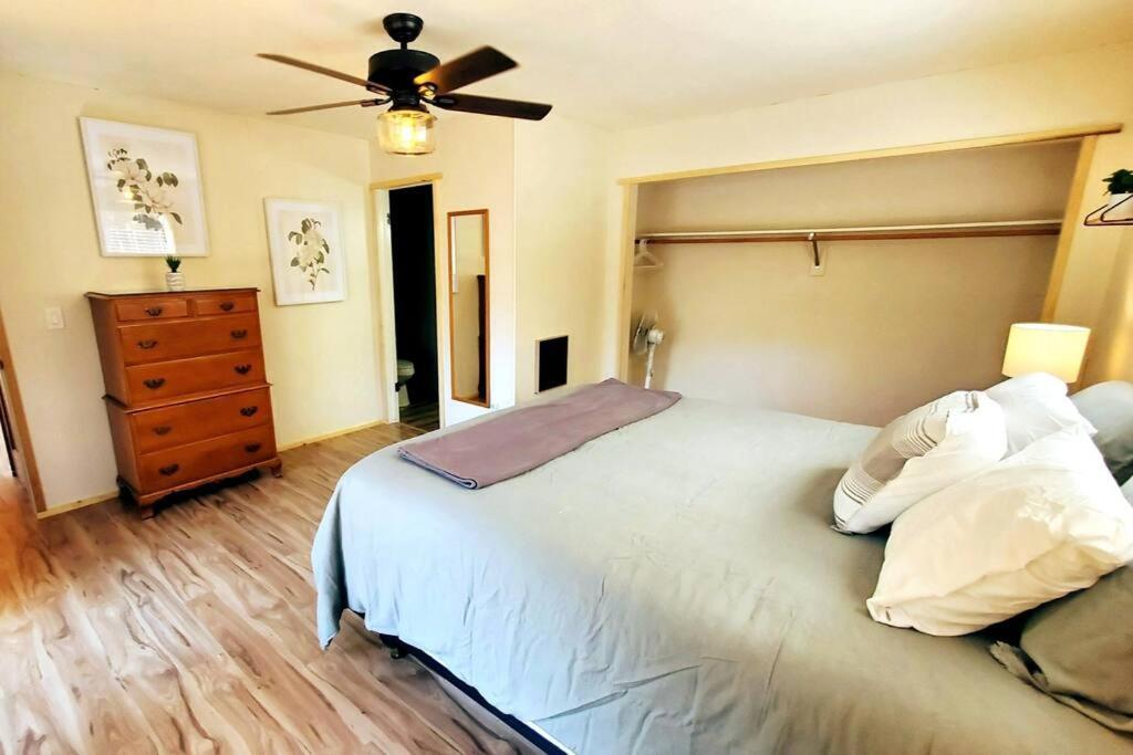 Redwood Retreat, Mountains, Adventure And Nature