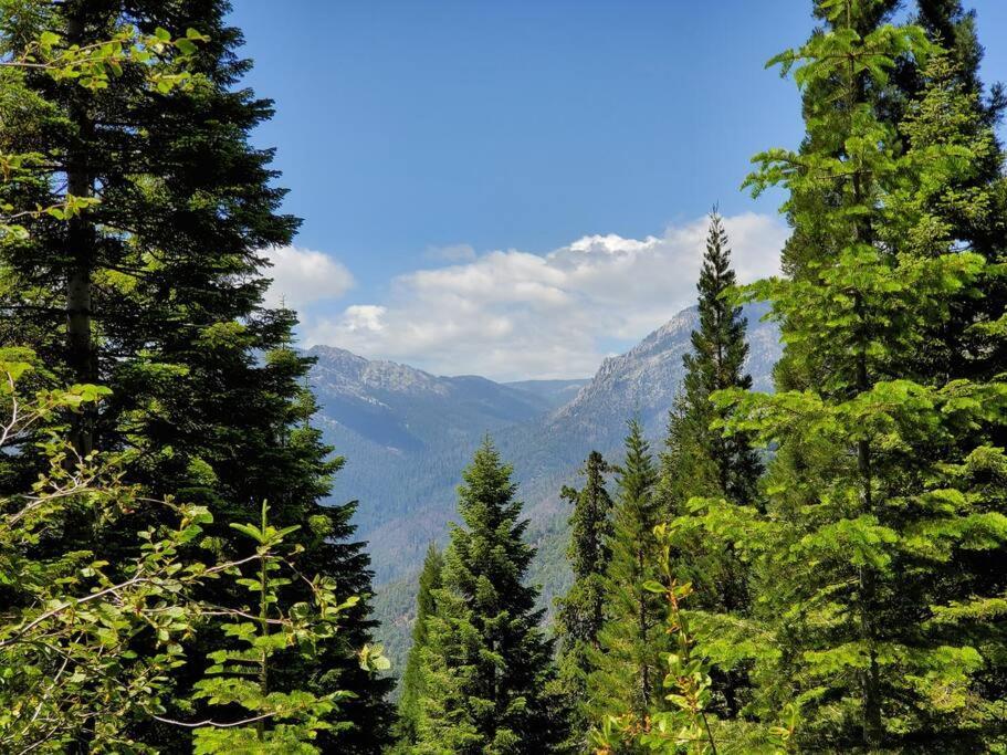 Redwood Retreat, Mountains, Adventure And Nature Holiday home *