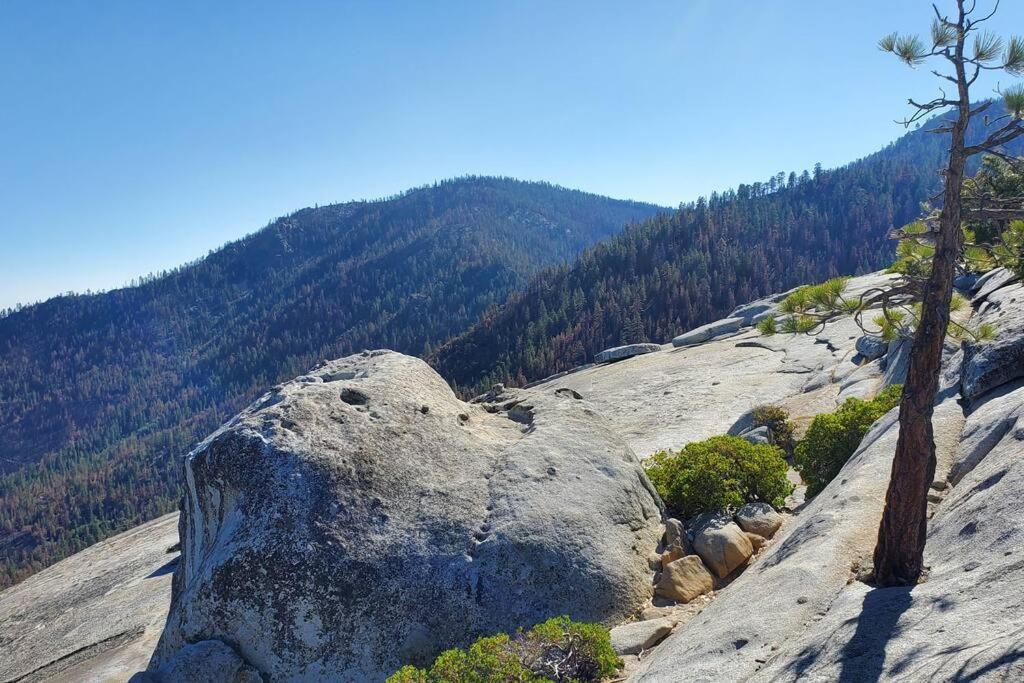 Holiday home Redwood Retreat, Mountains, Adventure And Nature *