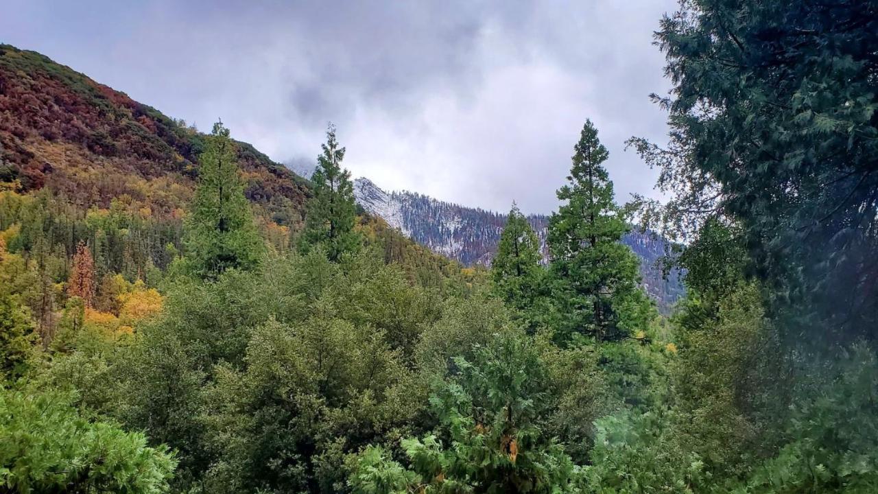 Holiday home Redwood Retreat, Mountains, Adventure And Nature Ponderosa