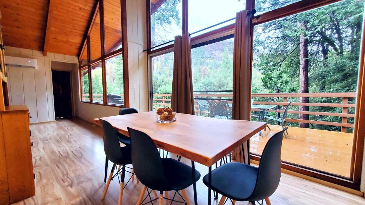 Redwood Retreat, Mountains, Adventure And Nature