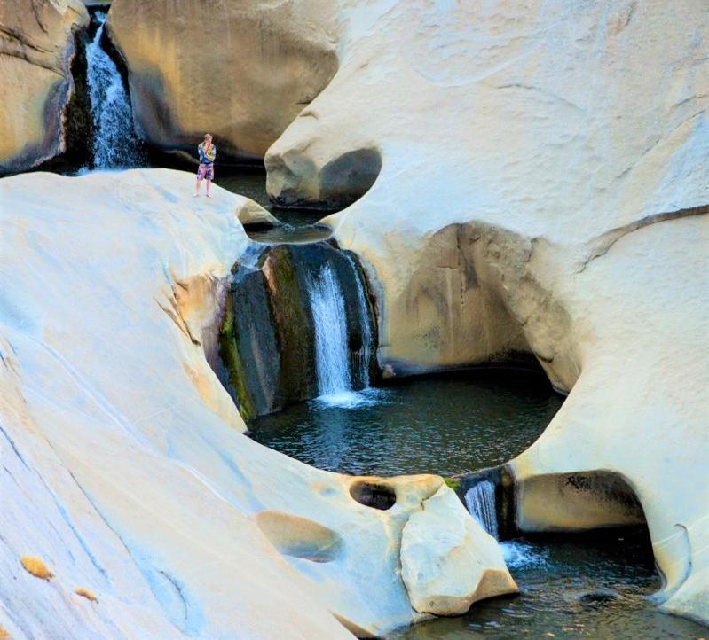 Redwood Retreat, Mountains, Adventure And Nature * Ponderosa