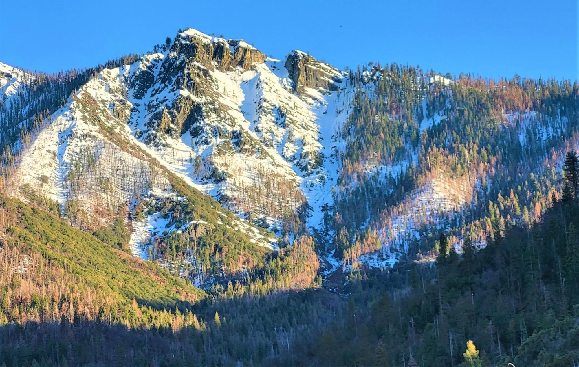 Redwood Retreat, Mountains, Adventure And Nature Holiday home *